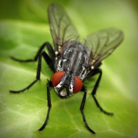 /album/gravquedigusi/photolia-a01-jpg/