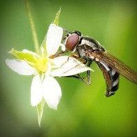 /album/gravquedigusi/photolia-a02-jpg/