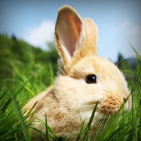 /album/gravquedigusi/photolia-a03-jpg/