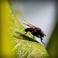 /album/gravquedigusi/photolia-a04-jpg/