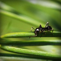 /album/gravquedigusi/photolia-a05-jpg/