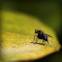 /album/gravquedigusi/photolia-a07-jpg/